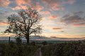 cox tor sunset3